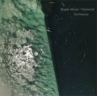 Magda Mayas' Filamental - Confluence